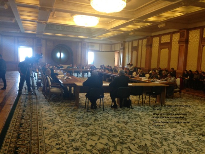 Camera deputatilor Comisia pentru Cultura 15 03 2016 p3