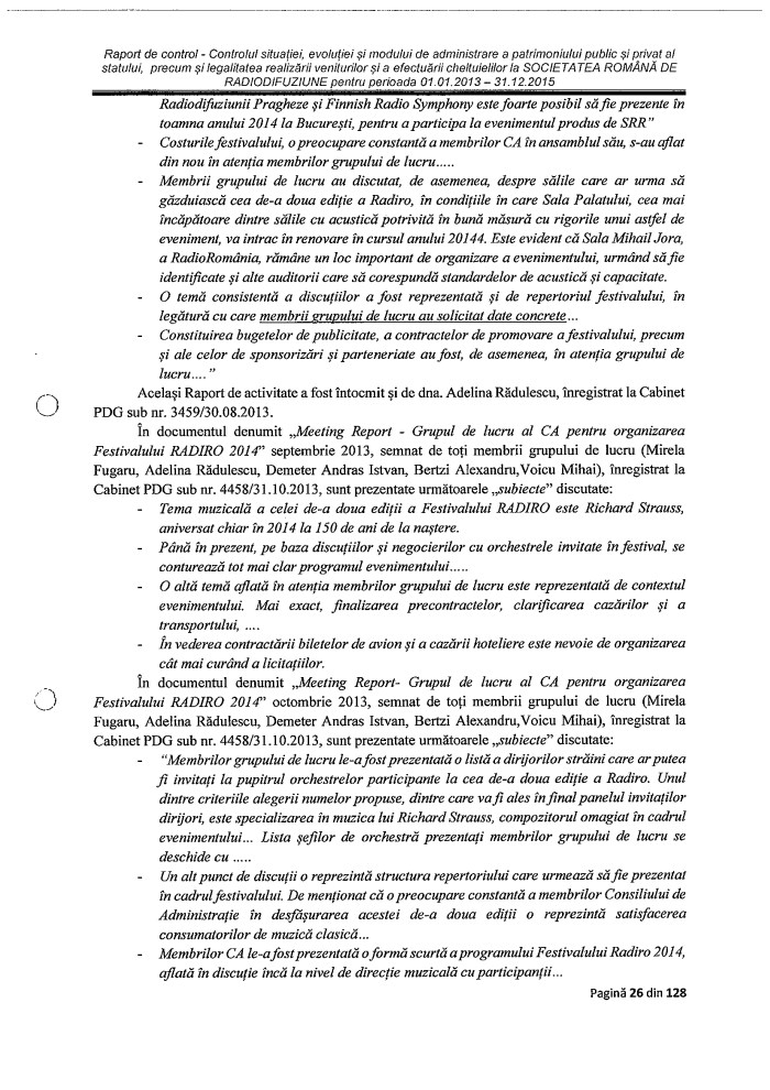 Raport Curtea Conturi p I27