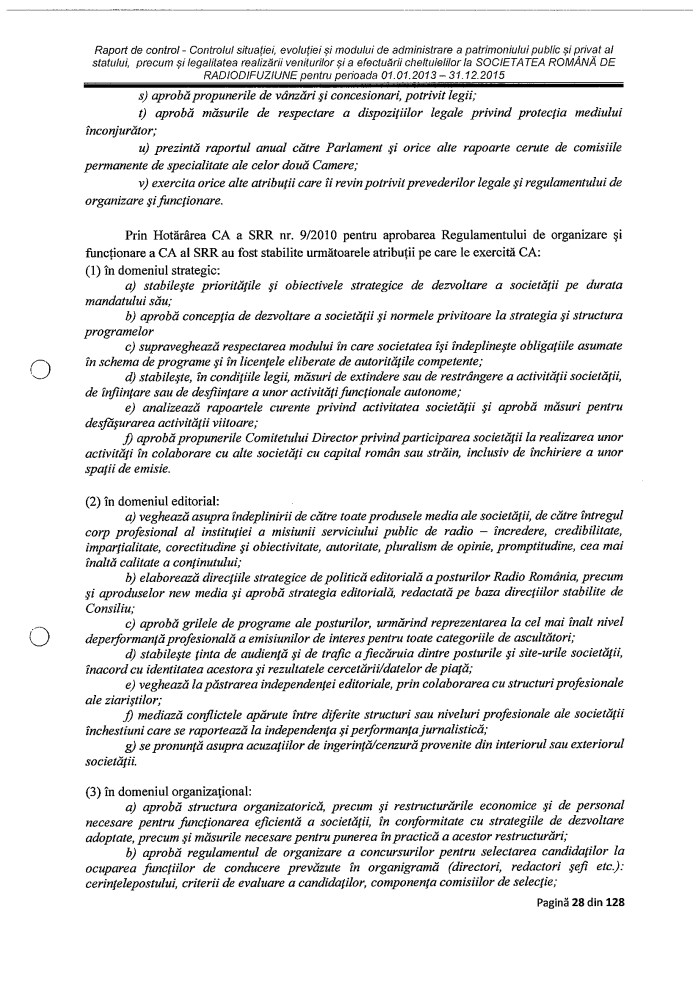 Raport Curtea Conturi p I29