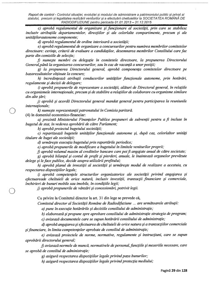 Raport Curtea Conturi p I30