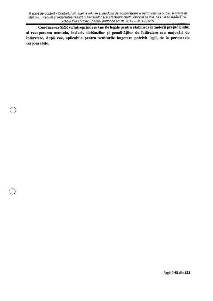 Raport Curtea Conturi p II4