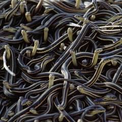 serparia-sezon-2-episodul-2